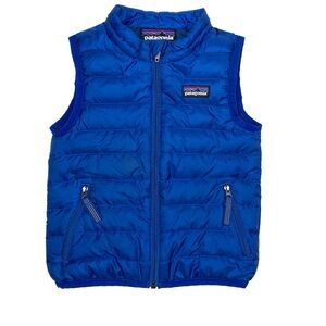 Patagonia Vibrant Blue Quilted Vest